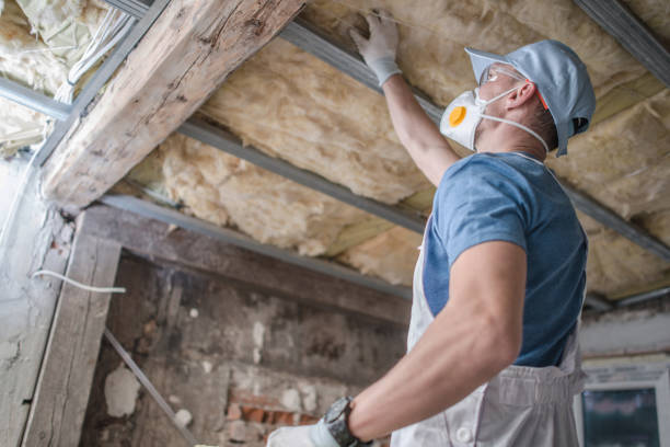 Trusted Cortland, NY Insulation Contractor Experts